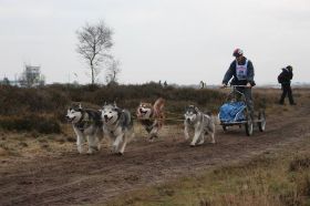 pampa wedstrijd 2014 19.jpg